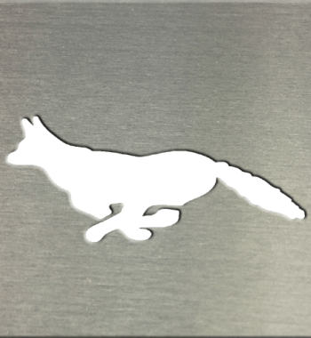 Fox In Motion