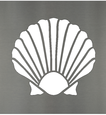 Sea Shell