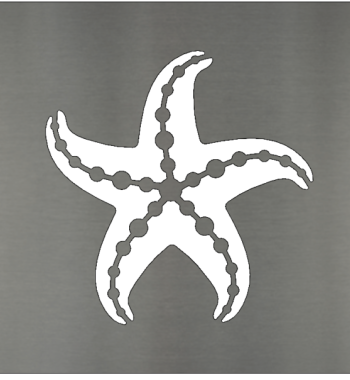 Star Fish