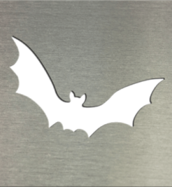 Bat