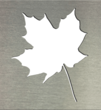 Leaf 300x300